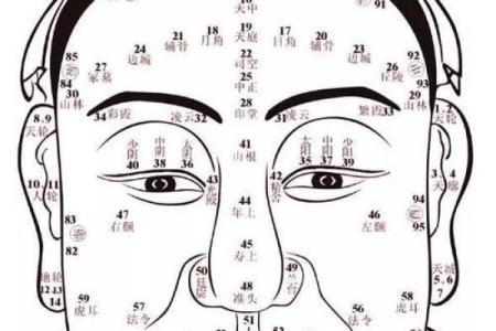 28虚岁的人生智慧与命运探秘