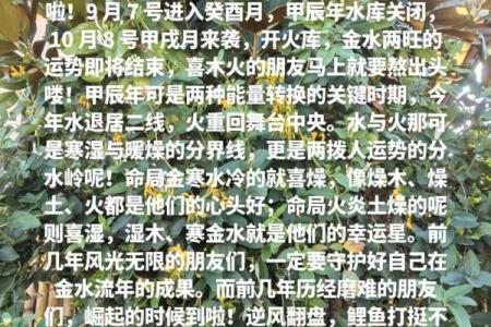癸酉年命解析：与哪些年份最相配，助你扬帆起航！