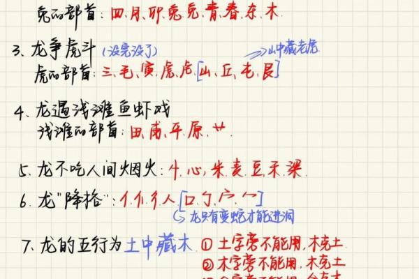 属龙人的五行与命理解析：揭示人生的密码与潜能