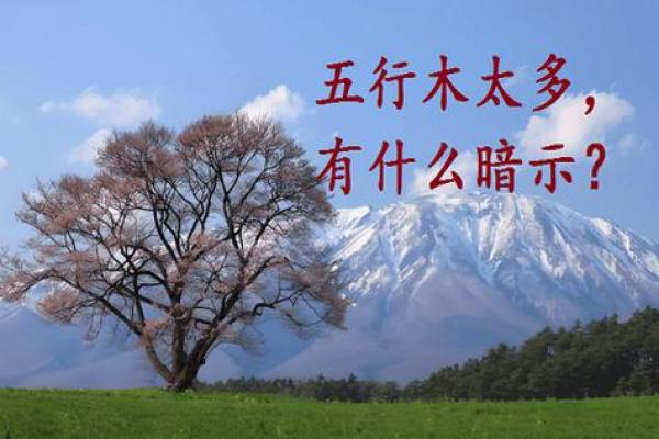 山头火与木命：相辅相成的命理之道