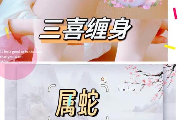 2001年蛇年的命运与性格特点解析，揭秘神秘的蛇年之道！