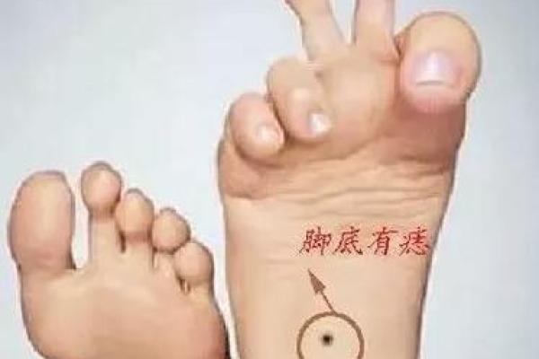 脚相学：揭示富贵命的秘密与奥妙