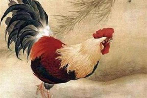 揭秘30岁属鸡人的命运与人生转折