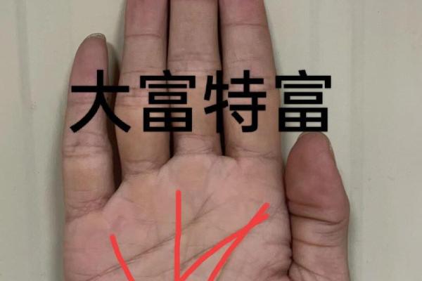 根据手纹解析：多手纹命格，人生的奇妙轨迹