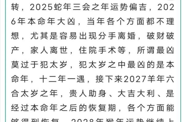 2023年兔年运势解析：生肖兔的命运与事业发展