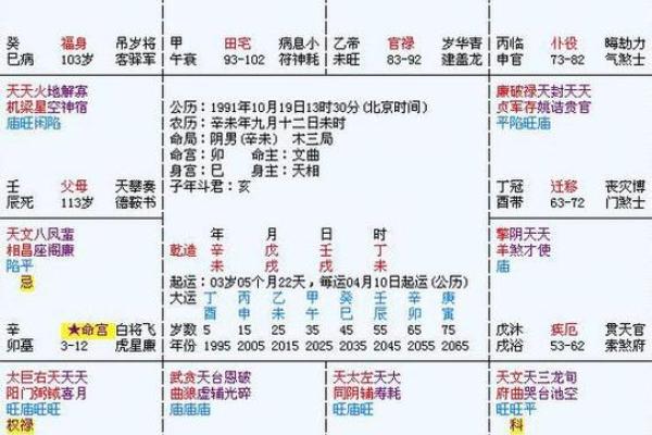 探秘紫薇命理：如何找到属于你的最佳命运！
