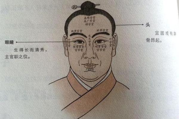 揭示男人面相：带你走向富贵命的秘密