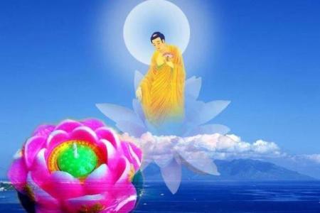 1995年出生的人命运解析：正确认知与机遇把握