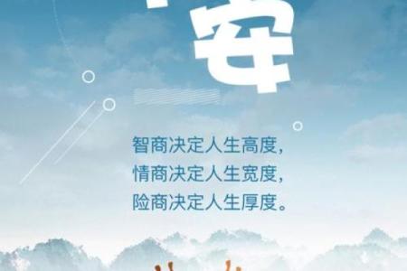 《命运的纠葛：探讨电影《命就是命》的内涵与启示》