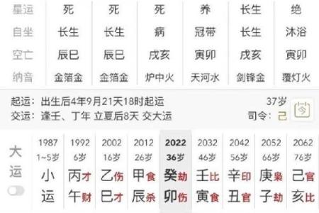 命理学的奥秘：如何通过八字命盘揭示个人命运与潜能