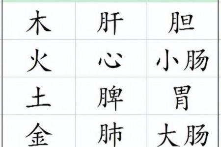 2004年水命缺什么：解密五行中的水与命运的关系