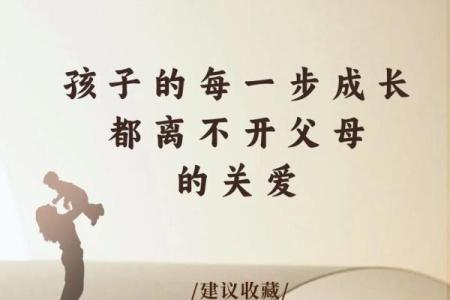 探寻命理学的奥秘：为何它适合每一个渴望自我成长的人