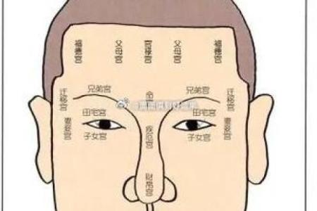 揭示男人面相：带你走向富贵命的秘密