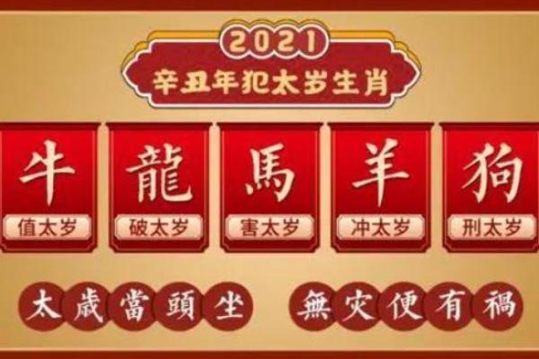 金命如何通过身材增强自身运势与魅力？