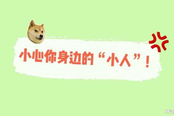 探寻丙辰日辛卯时的命理玄机,揭开人生之谜! 探寻丙辰日辛卯时的命理玄机,揭开人生之谜!