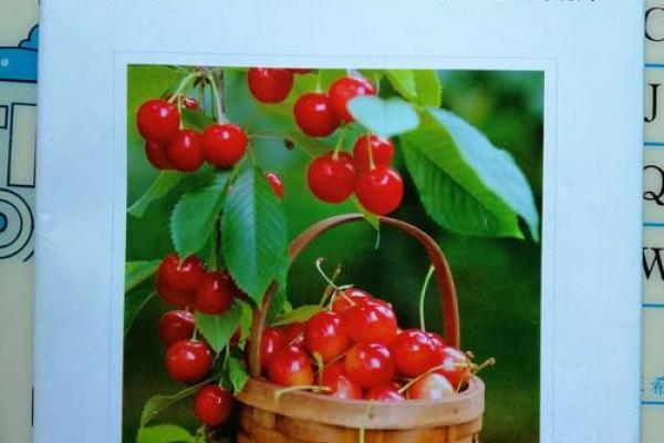 2003年：科技与生活交融的年华，回顾那些年我们的改变与成长