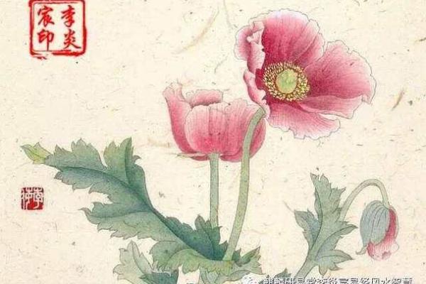 探寻女命癸酉的最佳配对,幸福与和谐的命理之旅 探寻女命癸酉的最佳配对,幸福与和谐的命理之旅