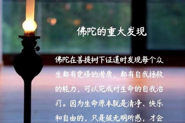 关注自我内心，找回生命的主动权与幸福感