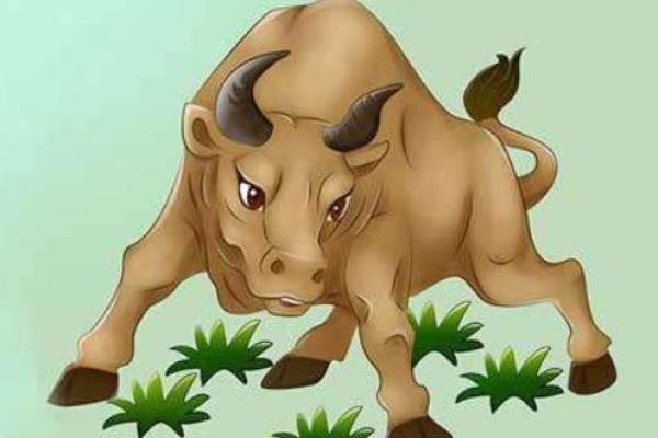1997年属牛命运解析：苦中作乐的人生之路