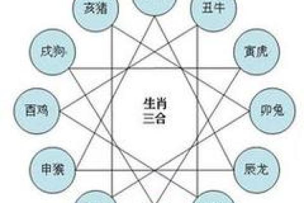 61岁属什么生肖,命理解析与人生智慧 61岁属什么生肖,命理解析与人生智慧