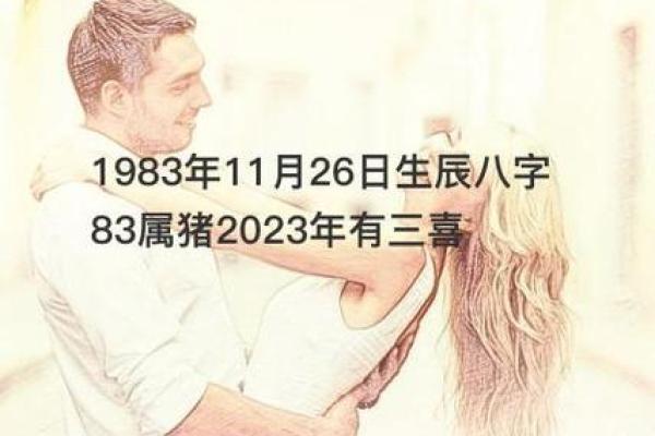 2023年属猪49岁，命运如何？探寻人生的转折与希望