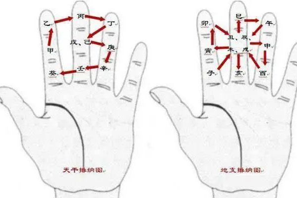 2003年出生的命运解析：揭示你的命理密码与人生轨迹