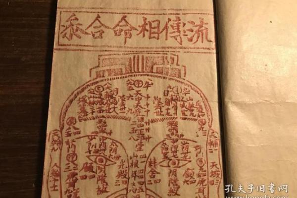 探寻1984年木命人的命理特征与不足之处 探寻1984年木命人的命理特征与不足之处