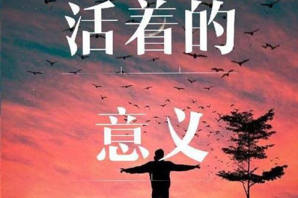 揭示“地命天心”的深刻含义与人生启示
