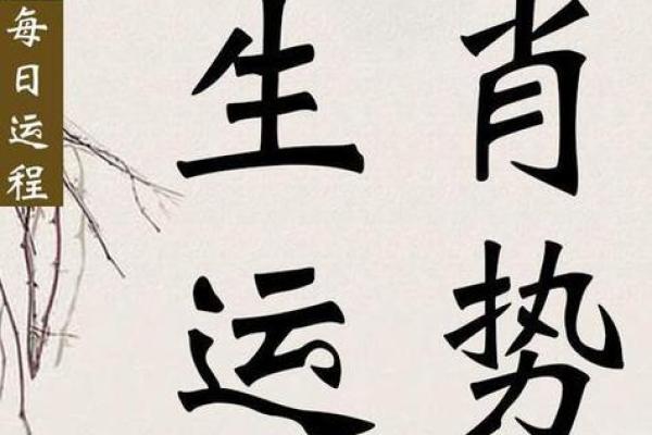 2023年属猪人的命运与生活智慧探索