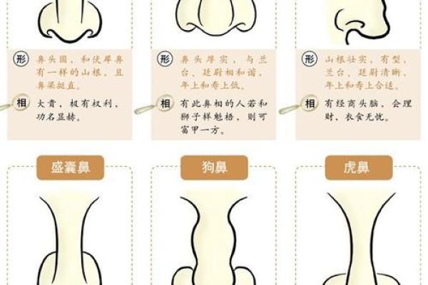 6767年属羊是什么命：解析羊年的命理奥秘与生活智慧