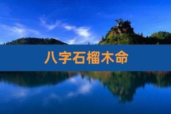 石榴木命人适合的行业选择与发展建议