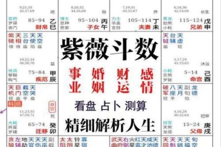 探讨2022年出生的孩子命理特征与未来发展方向