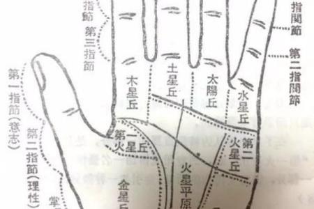 手指长得像竹子的命运：解读隐藏的命理密码