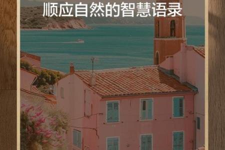 40岁去世，生命的短暂与生活的智慧