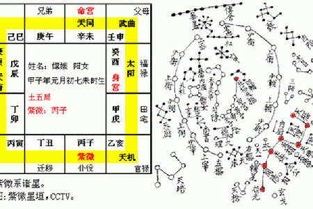 太阴星的性格与命运：解析太阴星人如何运用其特质获得成功