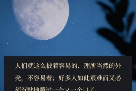 35岁的人命运解析：人生的转折与新机遇