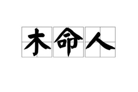 探索丑时木命者的命理特征与生活智慧