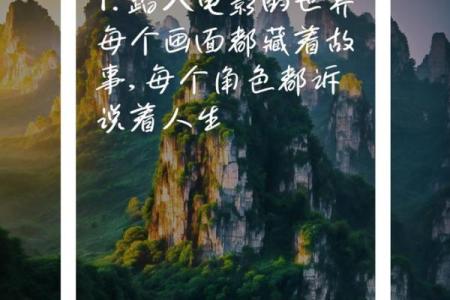 命有所不受，探索人生的奇妙旅程与选择