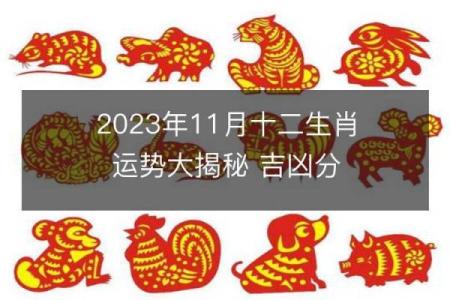 揭秘：下午出生的鸡的命理与运势解析
