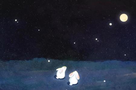 12月的命运与冬季的温暖：探寻寒冷中蕴藏的生命哲学