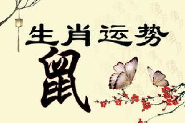 88岁属狗的命运解析：智慧、坚韧与幸福人生的启示