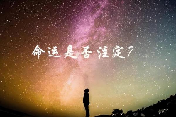 高命论：探寻生命中的命运与选择之道