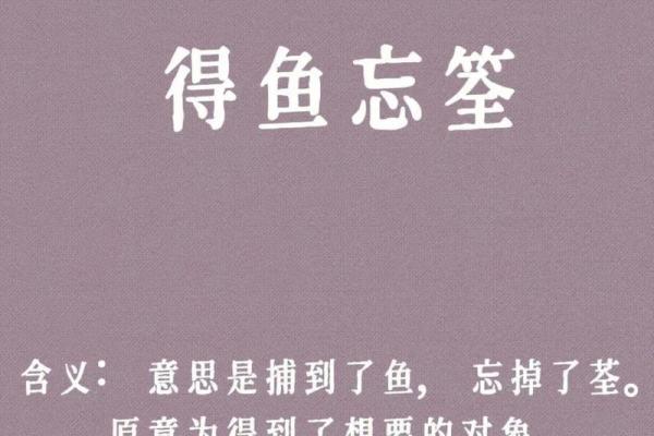 探寻四字成语背后的智慧与趣味 探寻四字成语背后的智慧与趣味