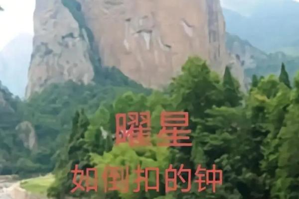 探索家山命水的秘密：流淌于人间的自然智慧与生活哲学