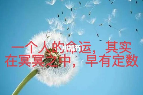 209年出生之人的命运与性格解析：揭示人生的奥秘与智慧