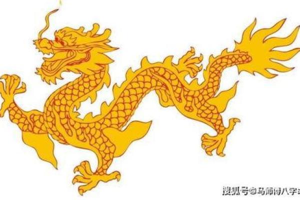 1776年龙年命理解析：揭示命运的神秘之旅