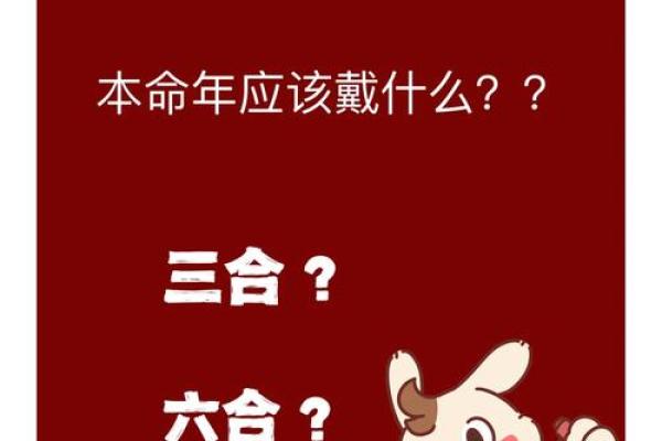 火中兔:探索这一命人的独特性格与命运轨迹 火中兔:探索这一命人的独特性格与命运轨迹