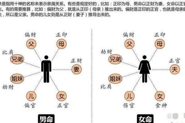 探索1970年10月19日出生者的命运与性格分析