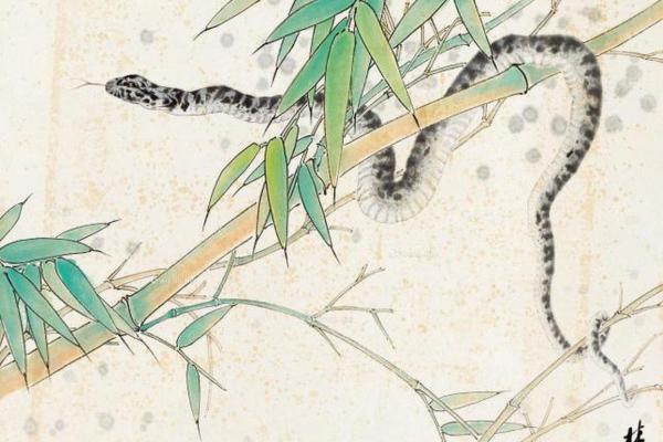 33岁属小蛇：解析命运与性格特征，探讨人生未来方向！