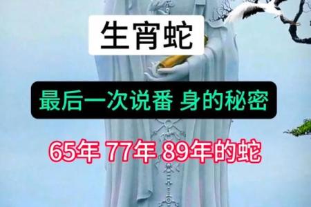 揭秘1965年蛇年出生者的命运与缺失之谜